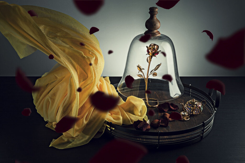 Gilda Studio Still Life (17)